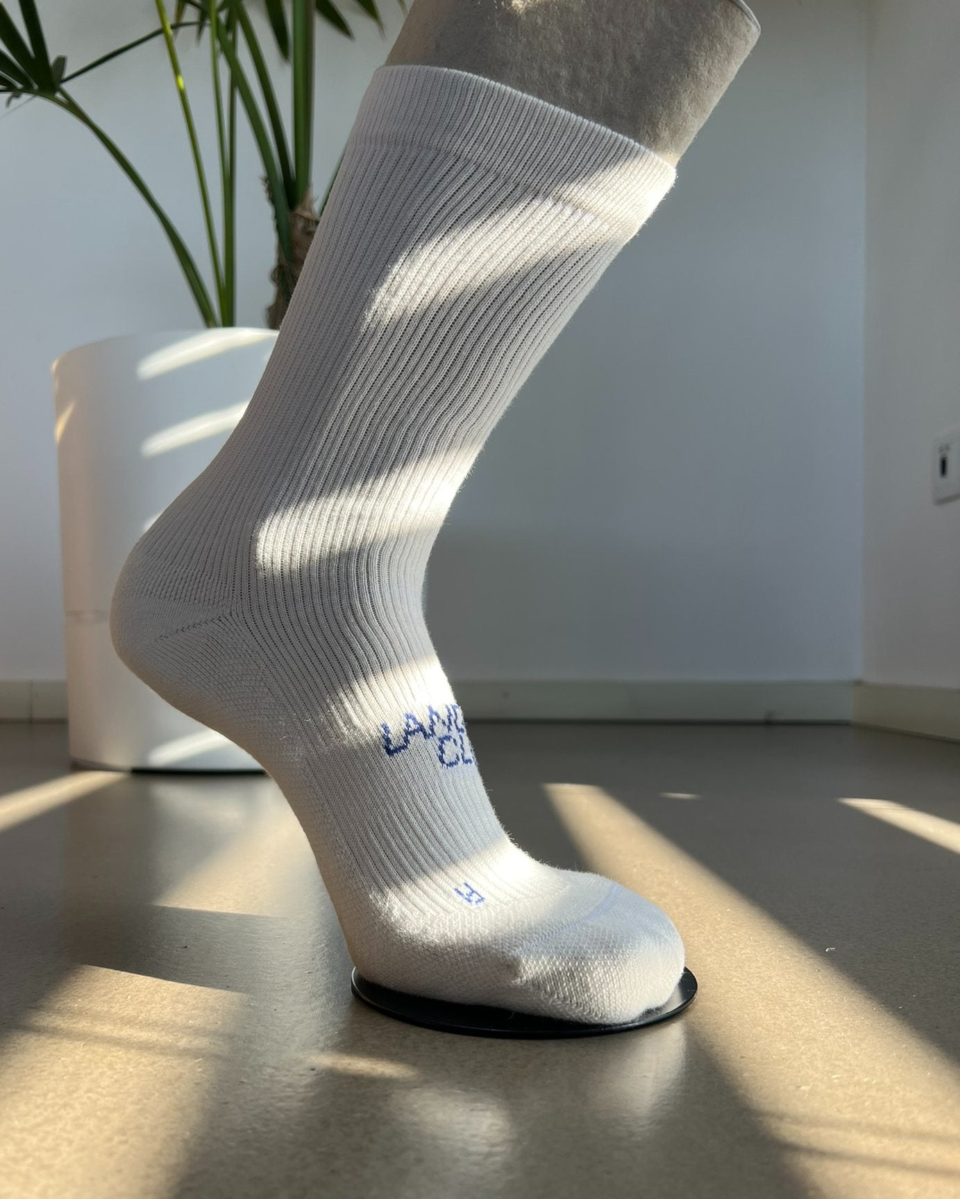 A cream Landfeel Club crew sock in profile on a sock form, in afternoon light